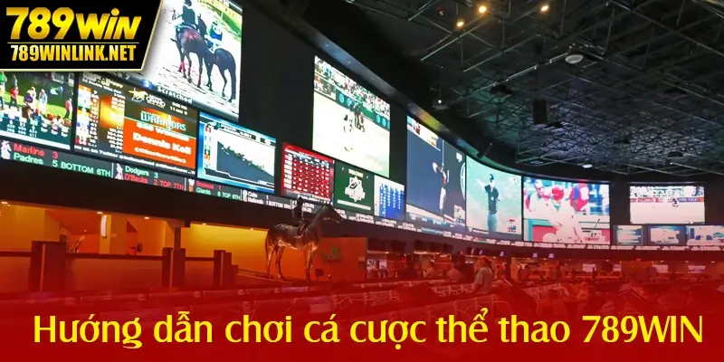 huong dan choi ca cuoc the thao 789win